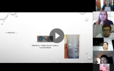Terapia Bioenergética vibracional o terapia de Imanes